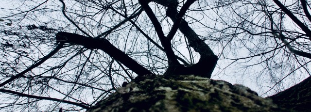 IMG_1098.jpeg
