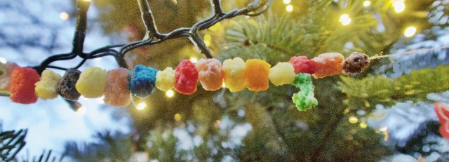 IMG_1272.jpeg